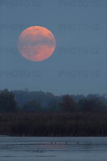 Red full moon over a lake