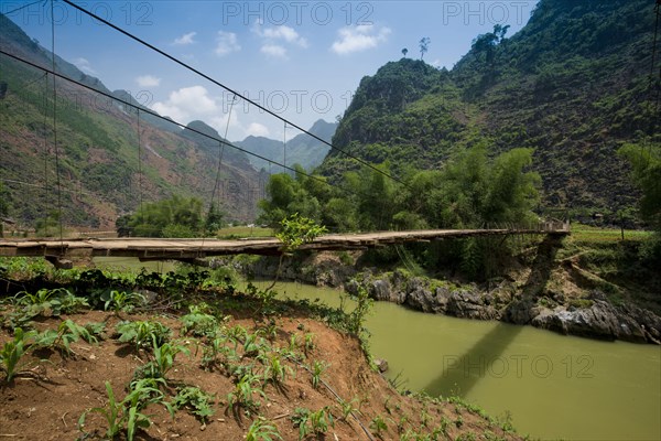 Simple suspension bridge