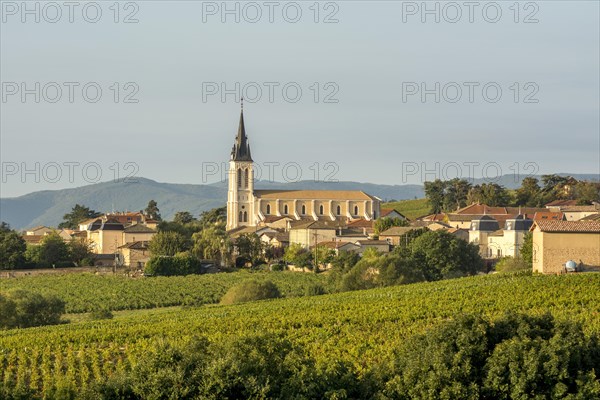 Church of Fleurie village