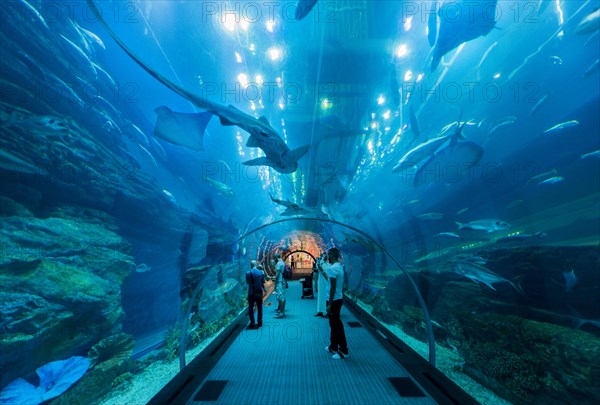 Underwater tunnels in the Dubai Aquarium and Underwater Zoo
