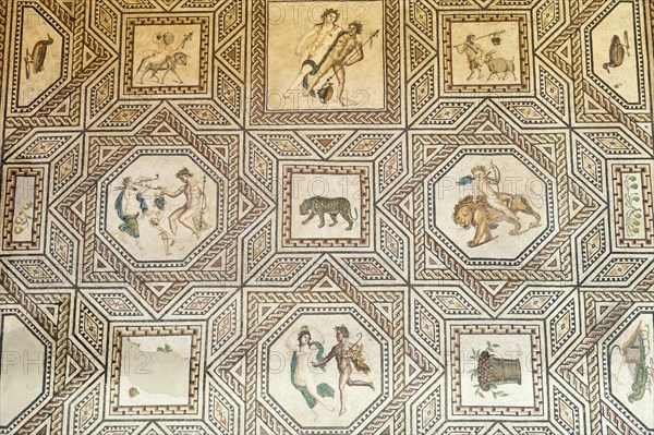 Roman Floor Mosaic