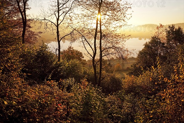 Autumnal forest and lake