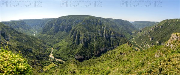 Gorges du Tarn