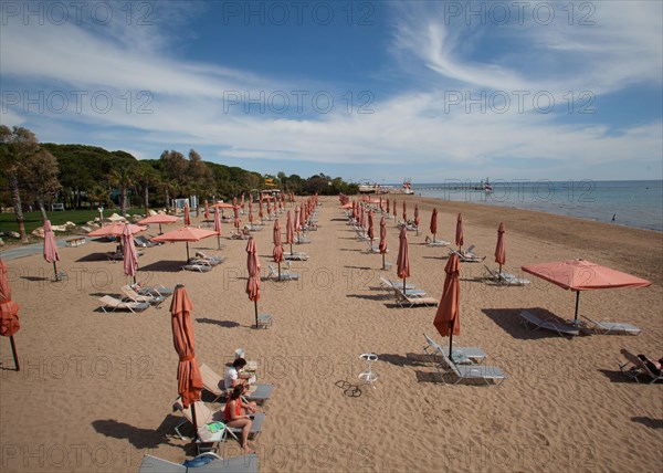 Empty beach with sunshades