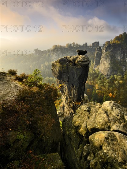 View of Wehlnadel and Bastei bridge