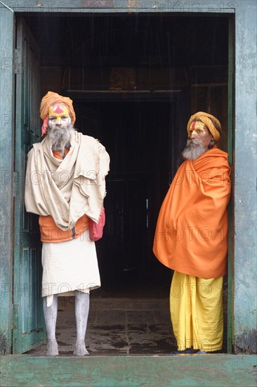 Hinduist Sadhus