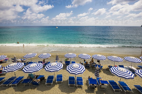 Sandy beach and colorful sunshades