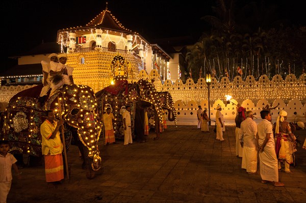 Decorated elephants