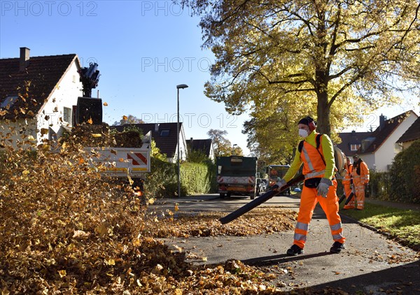 Collection of Autumn leaves using leaf blowers