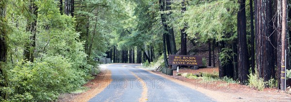 Road with road sign