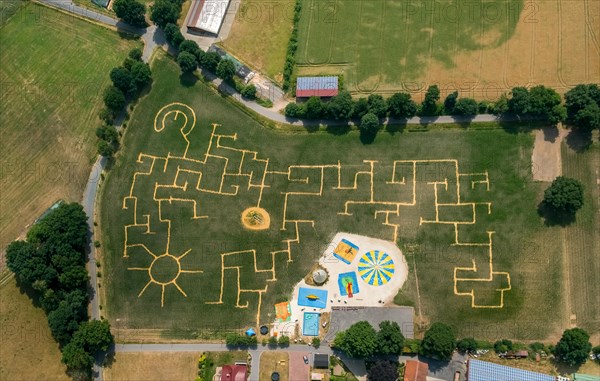 Terhardt corn maze