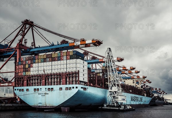 Cargo ship is loaded at Burchardkai