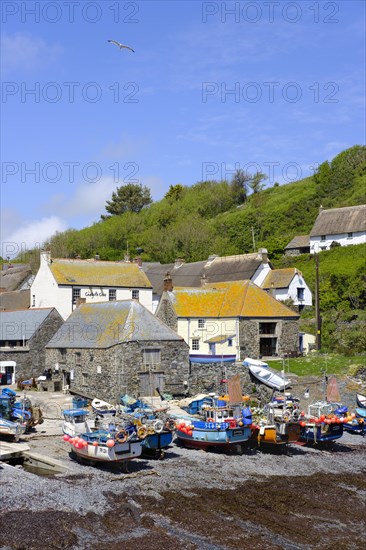 Fishing port