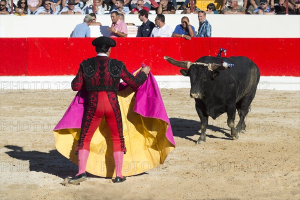 Bullfight in Alcochete