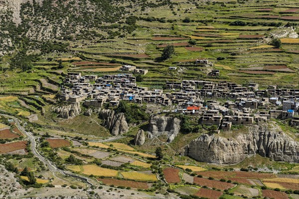 Village Manang with the agricultural terrace fields