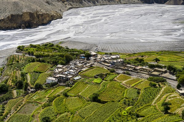 Aerial view of village