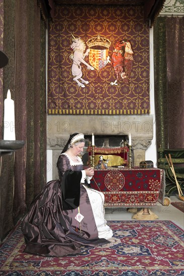 Court lady in a historic room