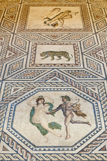 Roman Floor Mosaic