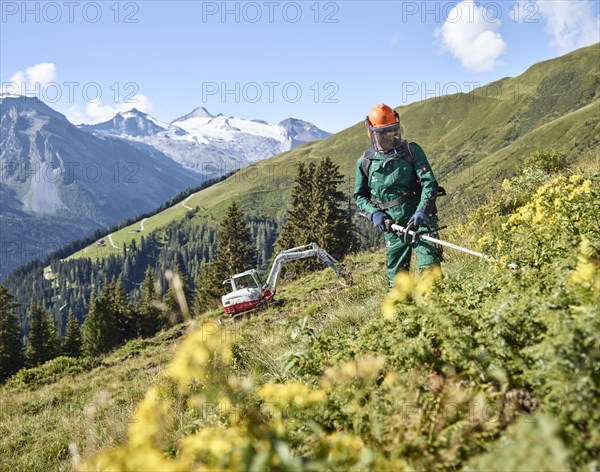 Lumberjack on the pasture