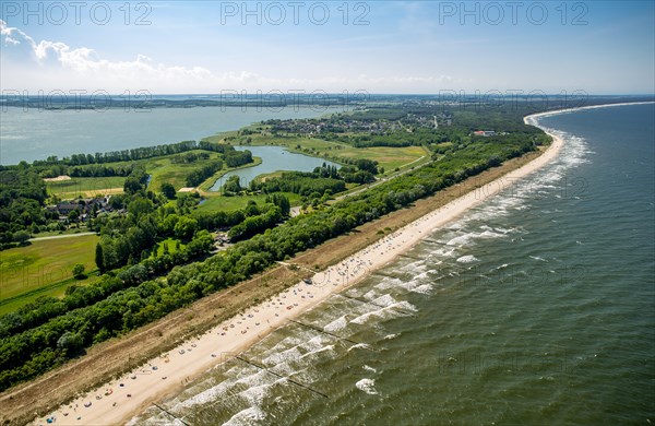 Damerow