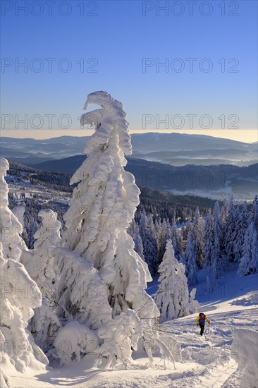 Ski tourers on Arbermandl