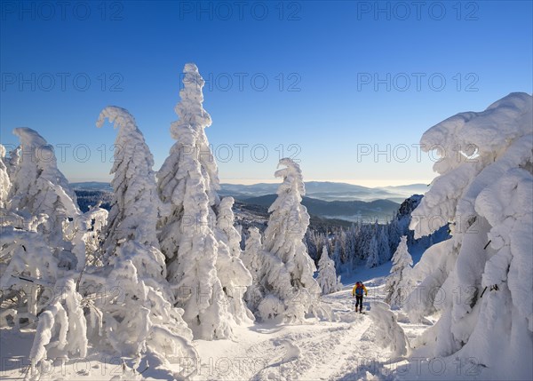 Ski tourers on Arbermandl