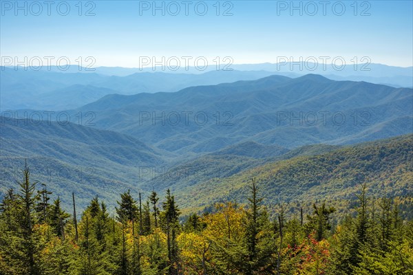 Clingmans Dome