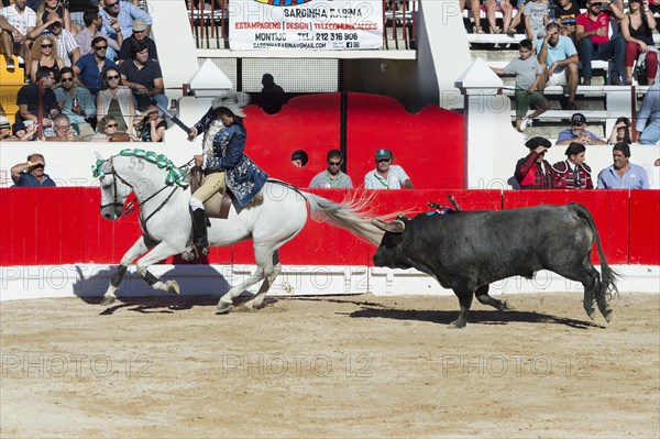 Bullfight in Alcochete