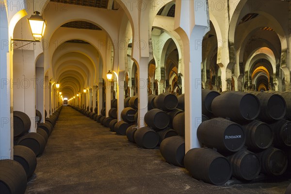 Stacked oak barrels in the wine cellar La Mezquita