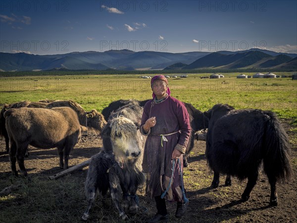 Nomad with yaks