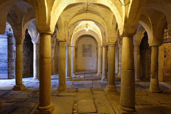 Columns in crypt