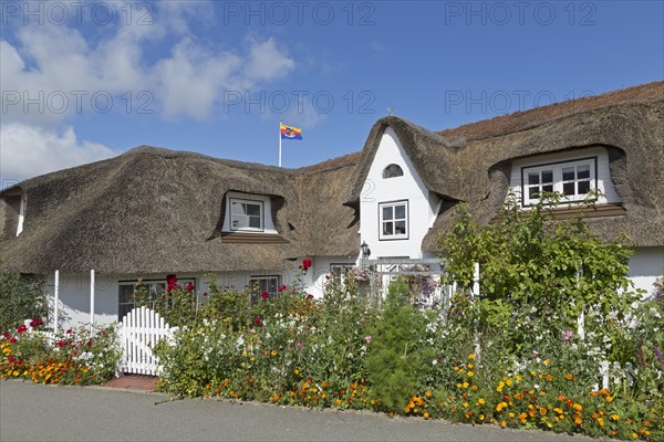 Thatched-roof house with summer flowers