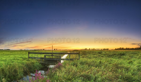 Irrigation ditch