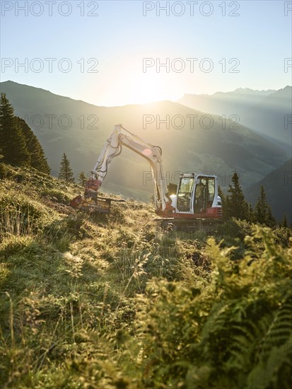 Excavator at sunrise with mulcher