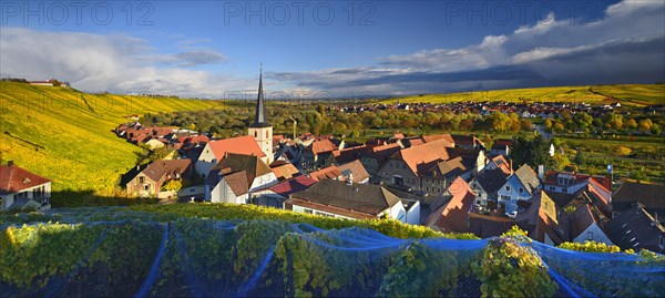 Escherndorf in autumn