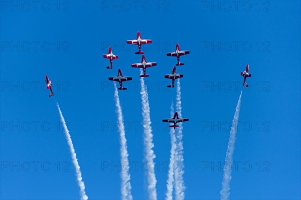 Canadian Armed Forces Snowbirds