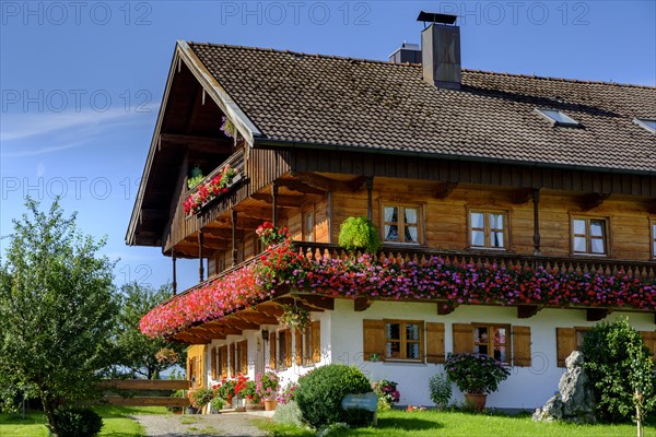 Flower-decorated farm