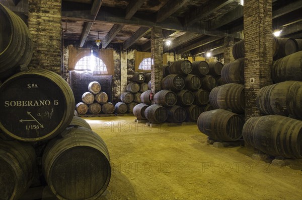 Stacked oak barrels in wine cellar