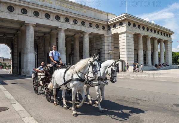 Horse-drawn carriage