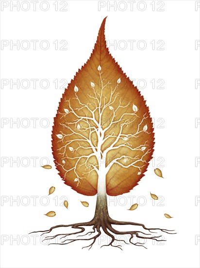 Red autumn leaf shaped tree with branches and roots
