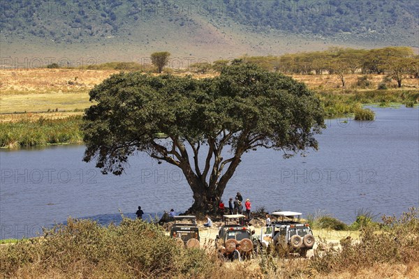 Tourists on safari