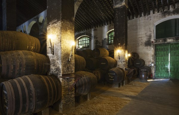 Stacked oak barrels in the wine cellar La Catedral