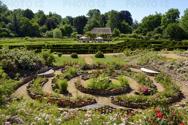 Roses and labyrinth in the castle park Dennenlohe