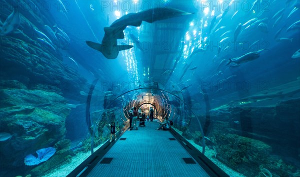 Underwater tunnels in the Dubai Aquarium and Underwater Zoo