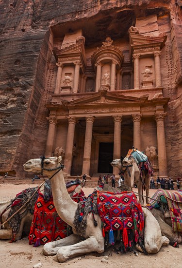 Dromedaries in front of the Pharaoh's treasure house carved out of rock