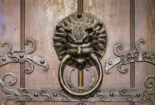 Door knocker