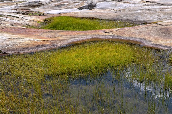 Glacial fluting of Schlatenkees with grassy water puddles