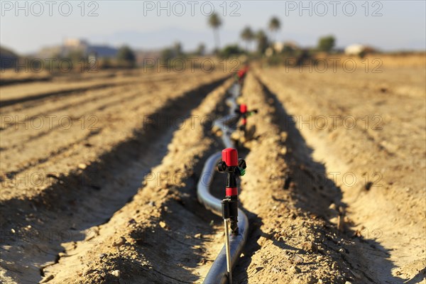 Sprinkler on an irrigation pipe