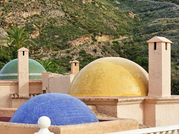 Fireplaces and multicoloured domes on one roof