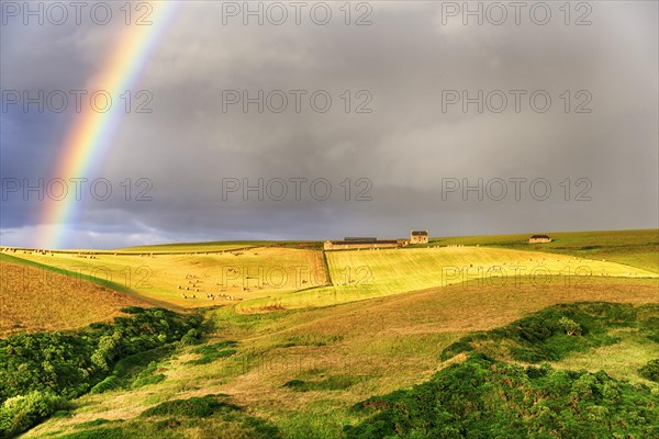 Agricultural landscape with rainbow